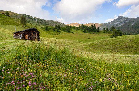 Zur Taistner Alm